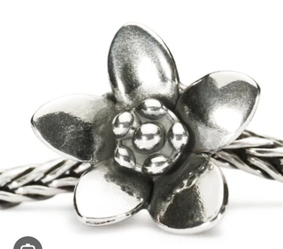 Charm Trollbeads in Argent GEMMA FIORITA - GEMMA FIORITA